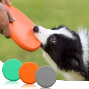 Dog Flying Disc