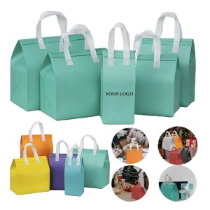 Disposable Non-Woven Insulated Cooler Bag